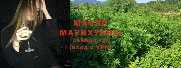 мдма Ельня