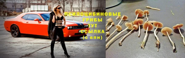 экстази Елабуга